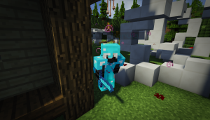 serverImage