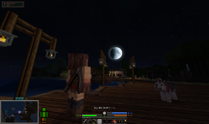serverImage
