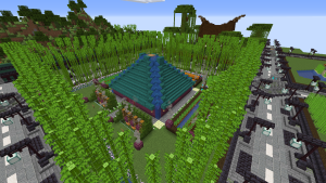 serverImage