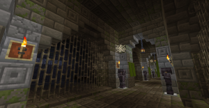 serverImage