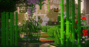 serverImage