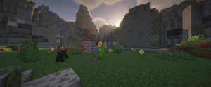 serverImage