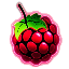 ServerIcon