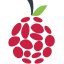 ServerIcon