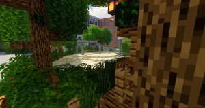 serverImage