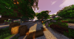 serverImage