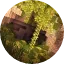 ServerIcon