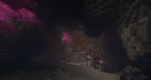 serverImage