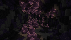 serverImage