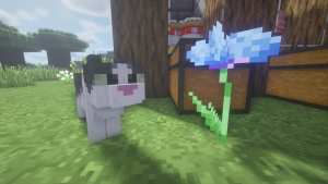 serverImage