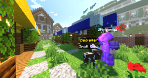 serverImage