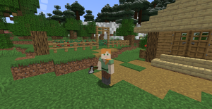 serverImage