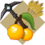 ServerIcon