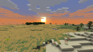 serverImage