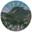 ServerIcon