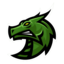 ServerIcon