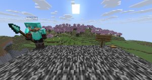 serverImage