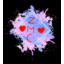 ServerIcon