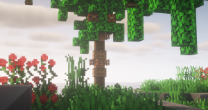 serverImage