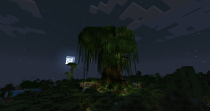 serverImage
