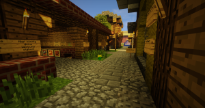 serverImage