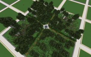 serverImage