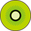 ServerIcon