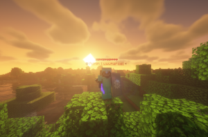 serverImage