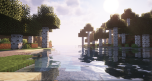 serverImage