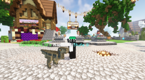 serverImage