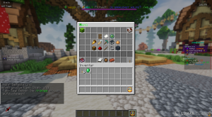 serverImage