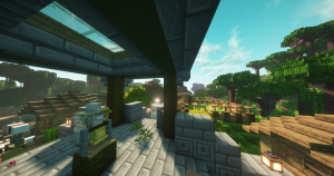 serverImage