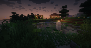 serverImage