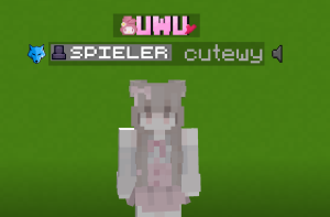 serverImage
