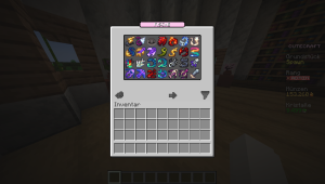 serverImage
