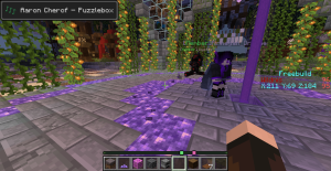 serverImage