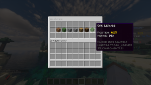 serverImage