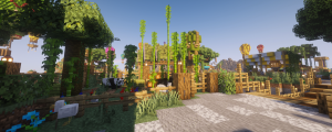 serverImage
