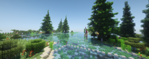 serverImage