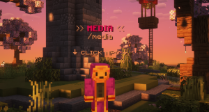 serverImage