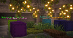 serverImage