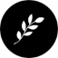 ServerIcon
