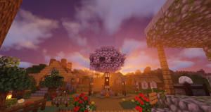 serverImage
