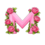 ServerIcon