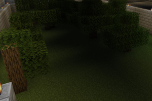 serverImage