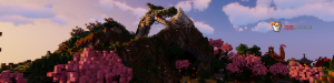 serverImage