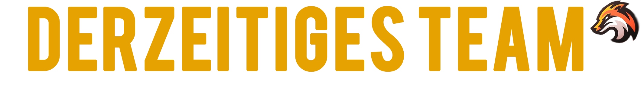 derzeitigesteam.png