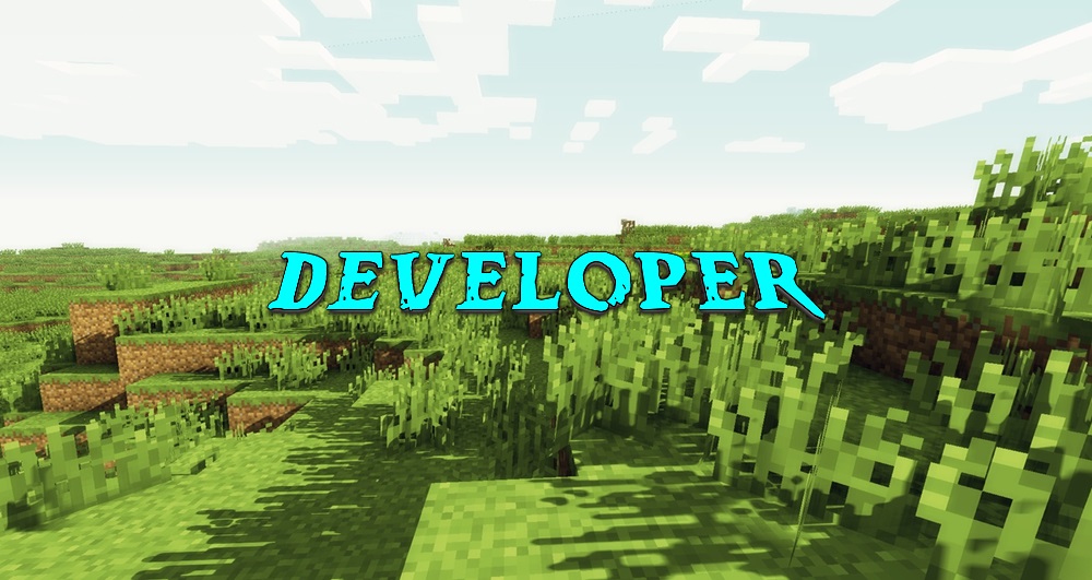 Developer.jpg