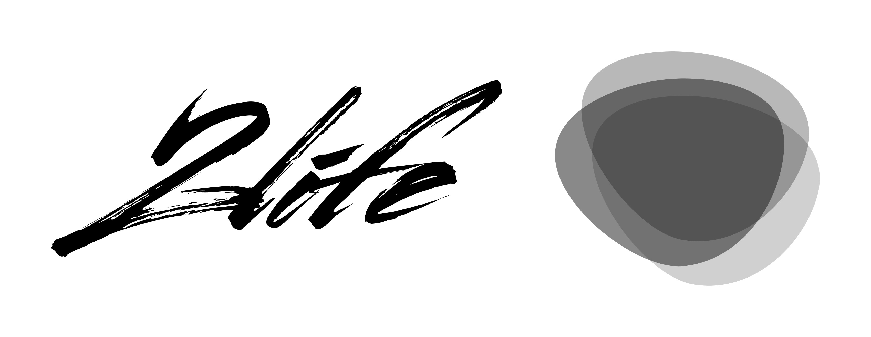 logo_white_background.jpg