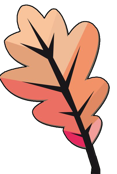 Plant4Forest- Logo.png